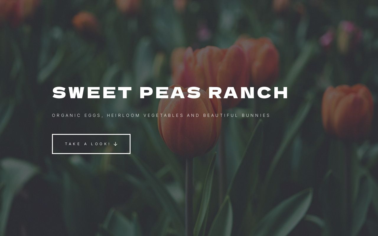 Sweet Peas Ranch | Eggs, Rabbit and Vegetables!